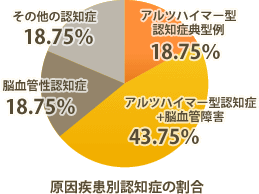 原因疾患別認知症の割合：アルツハイマー型認知症＋脳血管障害43.75％、アルツハイマー型認知症典型例18.75％、脳血管性認知症18.75％、その他の認知症18.75％