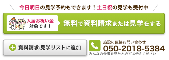 人気商品は ちむだん※土日介護で受け取りできません様 専用 svajcarija.rs